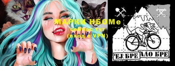 тгк Новозыбков