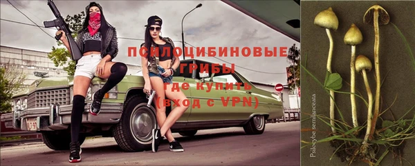 тгк Новозыбков