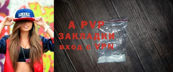 тгк Новодвинск